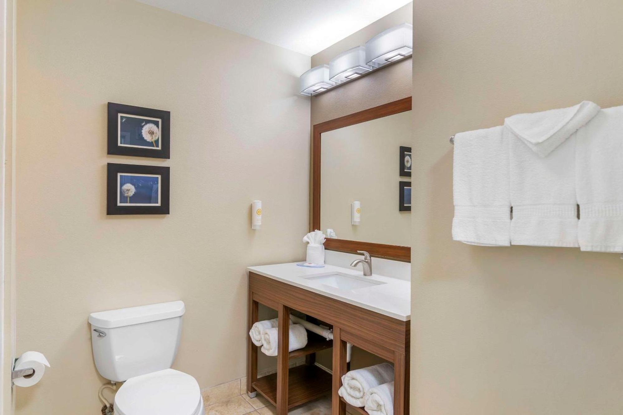 Comfort Inn & Suites Tifton Buitenkant foto